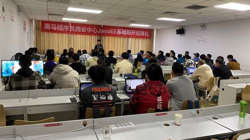 黑馬程序員技術(shù)交流社區(qū) 打造開發(fā)者成長(zhǎng)生態(tài)圈